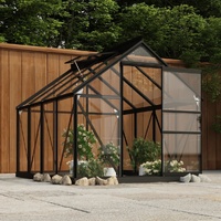 Glass Greenhouse Anthracite 155x200.5x191 cm Aluminium