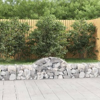 Arched Gabion Baskets 11 pcs 200x30x40/60 cm Galvanised Iron