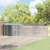 Bird Aviary with Extension Anthracite 310x838x247 cm Steel