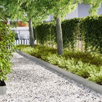 Lawn Edging 50 pcs Silver 100 x 0.05 x 20 cm Galvanised Steel