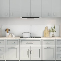 Kitchen Backsplash 2 pcs Transparent 100 x 40 cm Tempered Glass