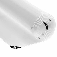 Clear Tarpaulin with Eyelets 3x6 m PVC