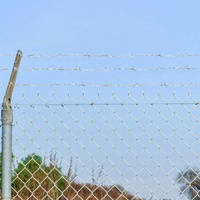 Barbed Wire Silver 100 m Hot-dip Galvanised Steel