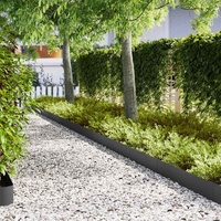 Lawn Edging 30 pcs Black 100 x 0.05 x 20 cm Cold Rolled Steel