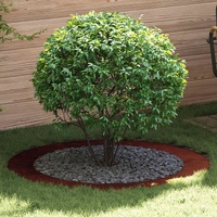 suitable for Flat Tree Rings 5 pcs Brown Ø90 / 120 cm