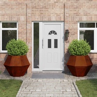 Planter 2 pcs Rusty 100 x 100 x 80 cm Weathering Steel