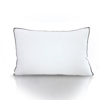 Casa Decor Silk Blend Pillow - Twin Pack - Model-207A6D