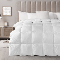 Royal Comfort 800GSM Silk Quilt - Queen - Model-523C92