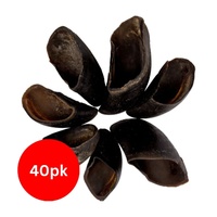 Blackdog Cow Hooves 20pk x2