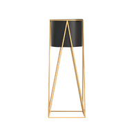 Gold and Black