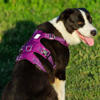 Whinhyepet Harness