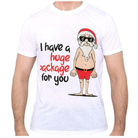 New Funny Adult Xmas Christmas T Shirt Tee Mens Womens 100% Cotton Jolly Ugly, I Have A Huge Package For You