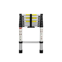 Multipurpose Ladder Telescopic 2.6M Silver 2.6 Meter - Model-997E91