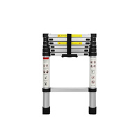 Multipurpose Ladder Telescopic 2M Silver 2 Meter - Model-E889A4