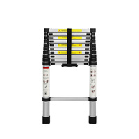 Multipurpose Ladder Telescopic 3.2M Silver 3.2 Meter - Model-4432F1