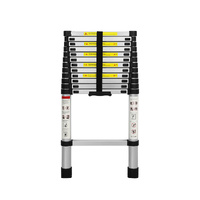 Multipurpose Ladder Telescopic 3.8M Silver 3.8 Meter - Model-C31581