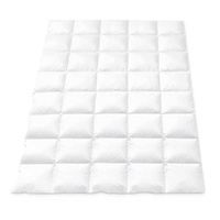 Giselle Bedding 700GSM Duck Down Feather Quilt Duvet Doona Winter Blanket Single
