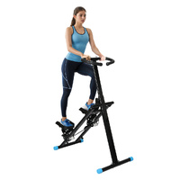 Stair Steppers - Model-958770