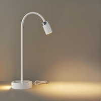 Rechargeable Motion Sensor Night Light – DIY Silicone Hose Lamp for Bedroom & Desk (White) | Other Colors Available in Store