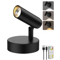 Spotlights Indoor, No-Glare Rechargeable Floor Can Light for Plants with Remote, Wireless Art Accent Spot Lights Uplight for Painting, Picture, Dartbo