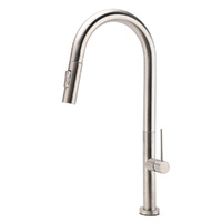 WELS Brushed Nickel Round Pull Out 2 Modes Spout Kitchen Sink Tap Laundry Mixer