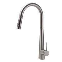 WELS Gun Metal Pull Out 2 Modes Spray Spout Kitchen Sink Tap Basin Faucet Mixer