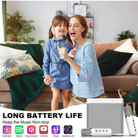 Sliver Karaoke Machine with 2 Wireless Microphones Bluetooth-Compatible 5.0 for Parties