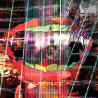 Centipede Hz - Animal Collective Cd Album