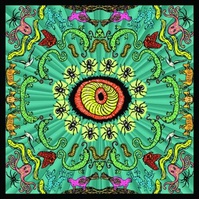 Wilderness - Handsome Family Cd Album