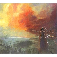 In Today Already Walks Tomorro - Sleepmakeswaves Cd Album