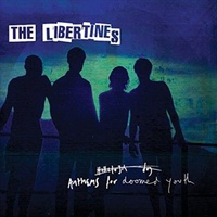 Anthems For Doomed Youth - Libertines Cd Album