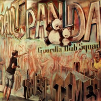 In These Times - Giant Panda Guerilla Dub Squad Cd Album