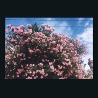 Drag It Down On You - Ceres Cd Album