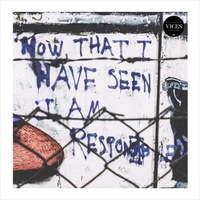 Now That I Have Seen I Am Resp - Vices Cd Album