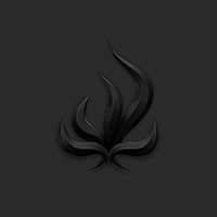 Black Flame - Bury Tomorrow Cd Album