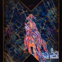 Cows On Hourglass Pond - Avey Tare Cd Album