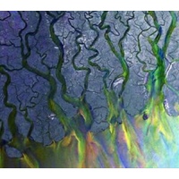 An Awesome Wave - Alt J Cd Album