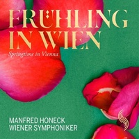 Springtime In Vienna - Beethoven: Strauss: Wiener Symphoni Cd Album