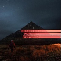 What Could Possibly Go Wrong - Fike, Dominic Cd Album