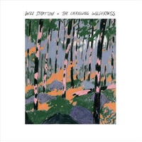 Changing Wilderness - Stratton, Will Cd Album