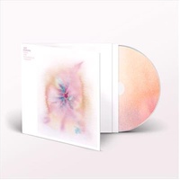 Music For Psychedelic Therapy - Hopkins, Jon Cd Album