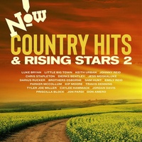 Now Country: Hits And Rising - Various Artists Cd Album