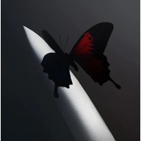 Twelve Carat Toothache: Japan - Post Malone Cd Album