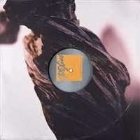 The Night The Zombies Came - The Pixies Cd Album