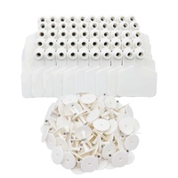 100x Cattle Ear Tags 5x4cm Set - Small White Blank Sheep Pig Livestock Label