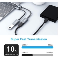 BENFEI 262GY-2P USB 3.0 USB-C to USB-A Adapter (2-pack)