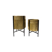 Rex Gold Planter - Gold - Set of 2