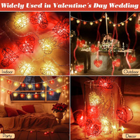 20 Red and White 3D Hollowed Rattan Heart-Shaped 3M String Fairy Lights, Battery (AA) Indoor & Outdoor Decorations Wedding Valentines Romantic Room Ta