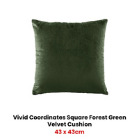 Bianca Vivid Coordinates Square Forest Green Velvet Cushion