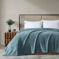 Ardor Teddy Sea Mist Ultra Soft Cozy Fleece Blanket Queen